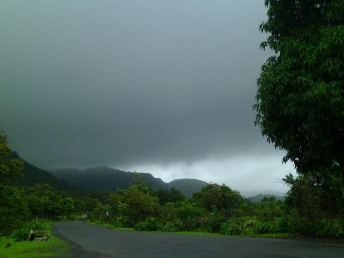 Highest warning in Konkan; Raigad rained to the rain | कोकणात अतिवृष्टीचा इशारा; रायगडला पावसाने झोडपलं Highest warning in Konkan; Raigad rained to the rain | कोकणात अतिवृष्टीचा इशारा; रायगडला पावसाने झोडपलं